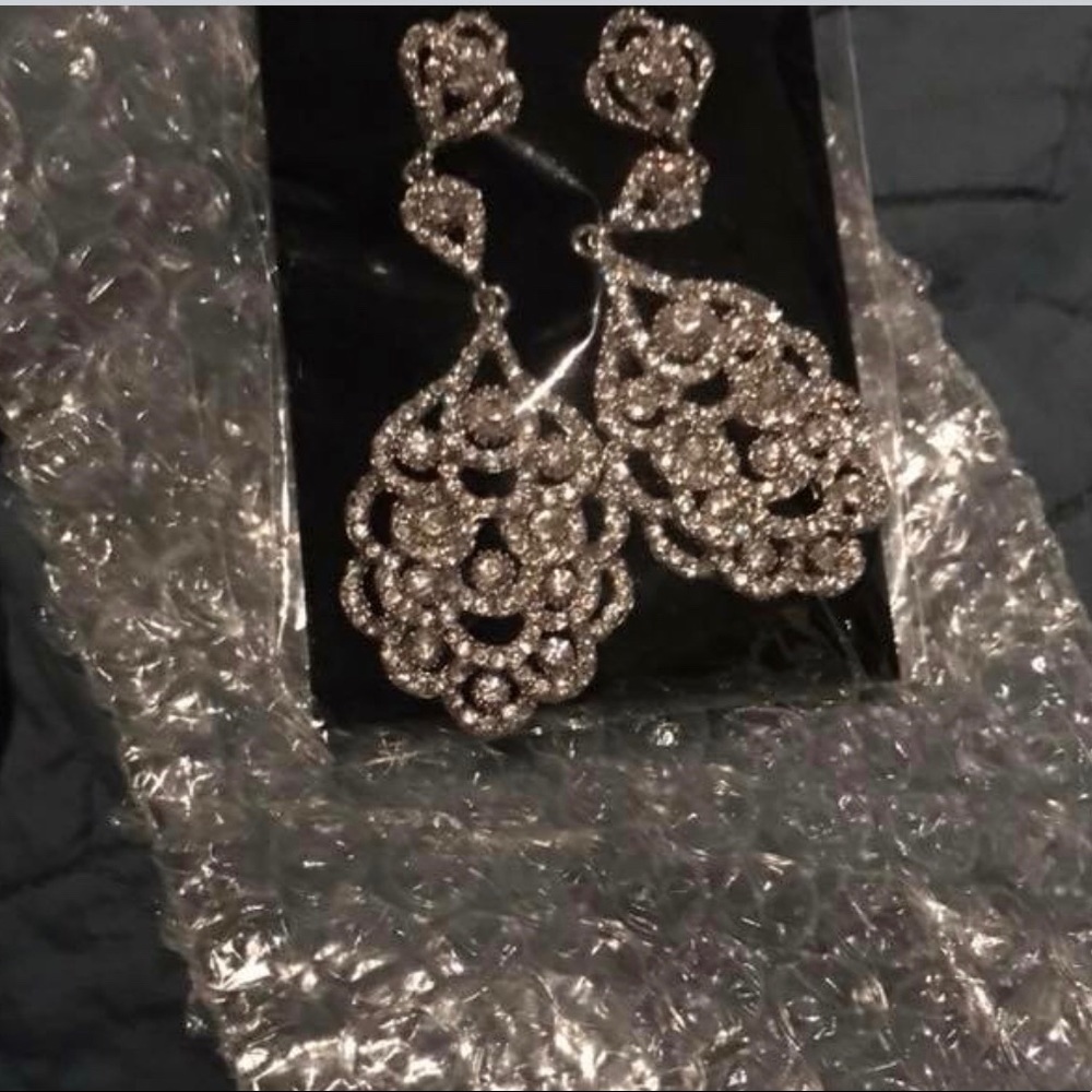 Beautiful Earrings! Never worn.
